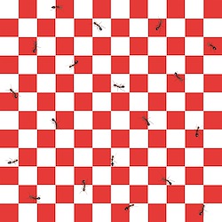 Red - Red & White Check with Ants